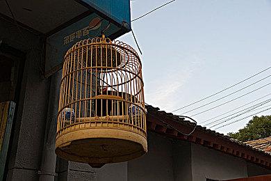 《夜痕：被遗忘之神》新预告 土耳其版《魔法门黑暗弥塞亚》